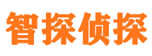 永和外遇调查取证